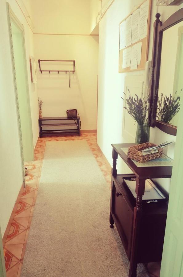 App Obrovac In The Centre - With Amazing Sea View! Apartment Pula Luaran gambar