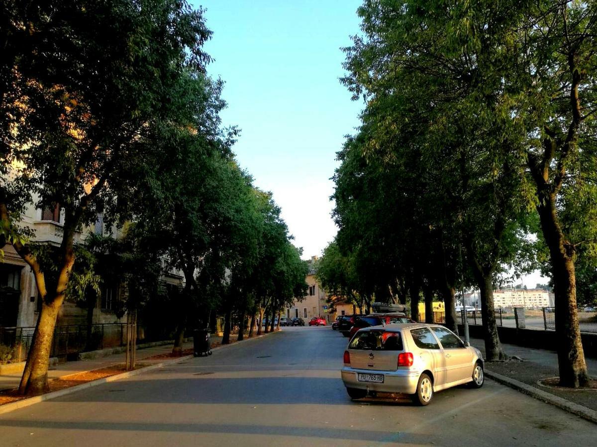 App Obrovac In The Centre - With Amazing Sea View! Apartment Pula Luaran gambar